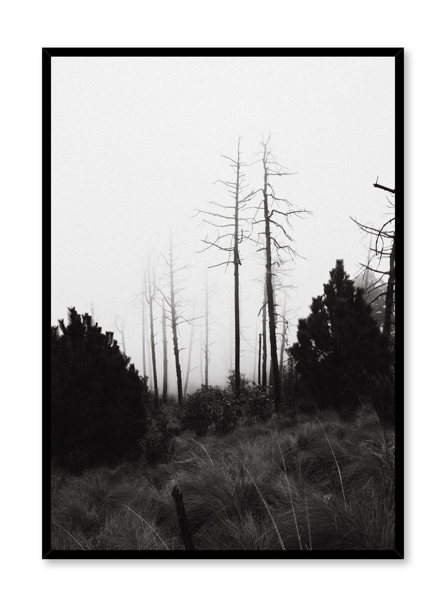 Rynx | Bars, Poster