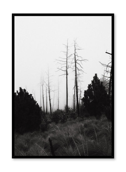 Rynx | Bars, Poster