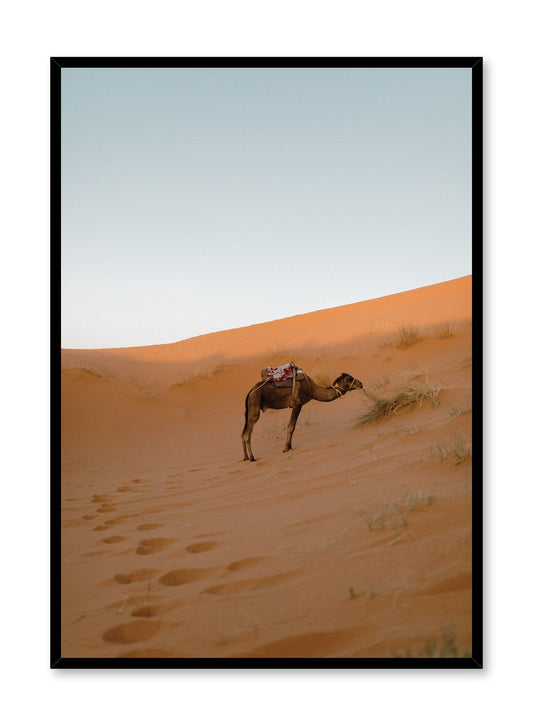 Rynx | Lone Camel, Poster