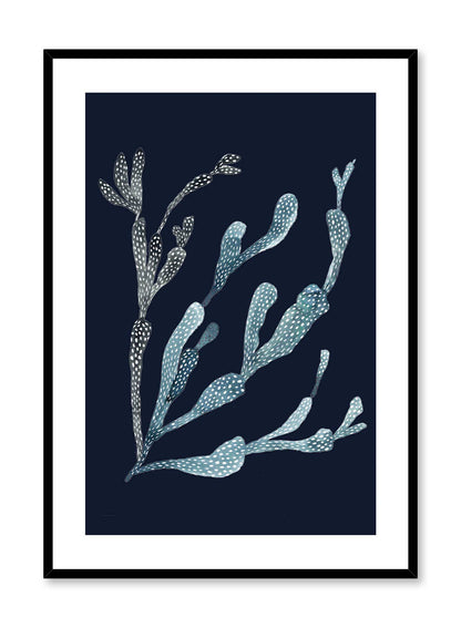 Rynx | Navy Coral, Poster