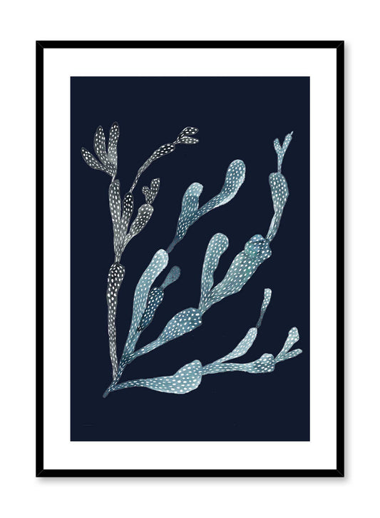 Rynx | Navy Coral, Poster