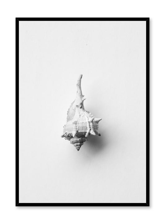 Rynx | Horse Conch, Poster