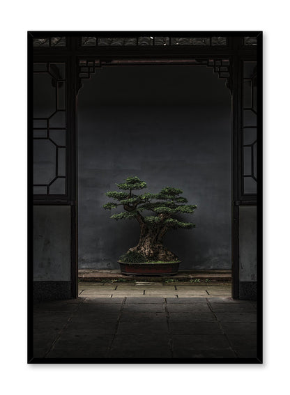Rynx | Bonsai Illumination, Poster