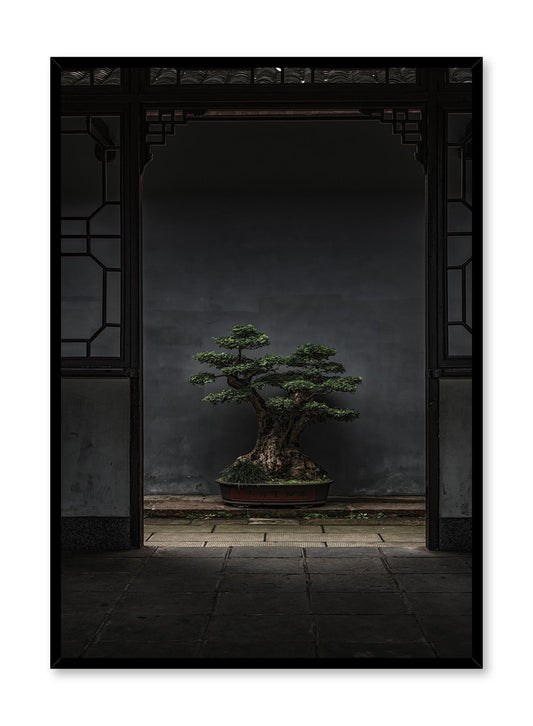 Rynx | Bonsai Illumination, Poster