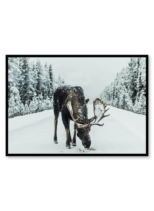 Rynx | Moose Stop, Poster