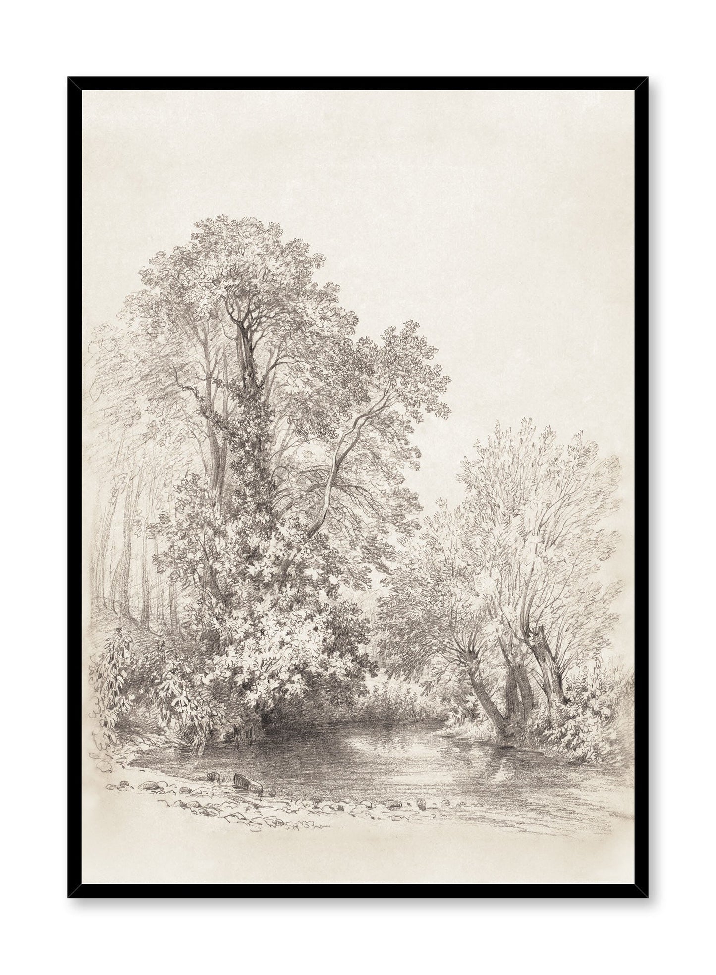 Rynx | Trees by the River, Poster