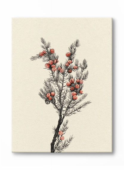 Rynx | A Winter's Tale, Canvas