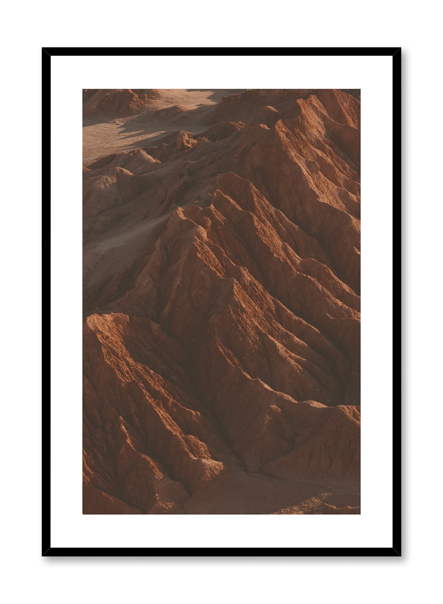 Rynx | Canyon Vistas, Poster