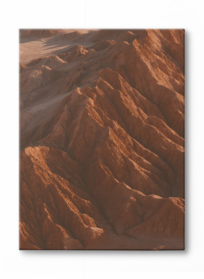 Rynx | Canyon Vistas, Poster