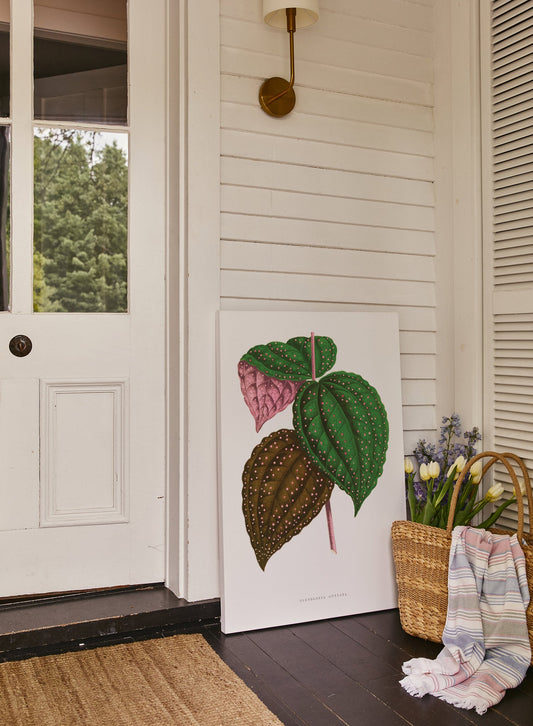 Rynx | Pink Dot Plant, Canvas