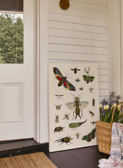 Rynx | Bug Studies, Posters