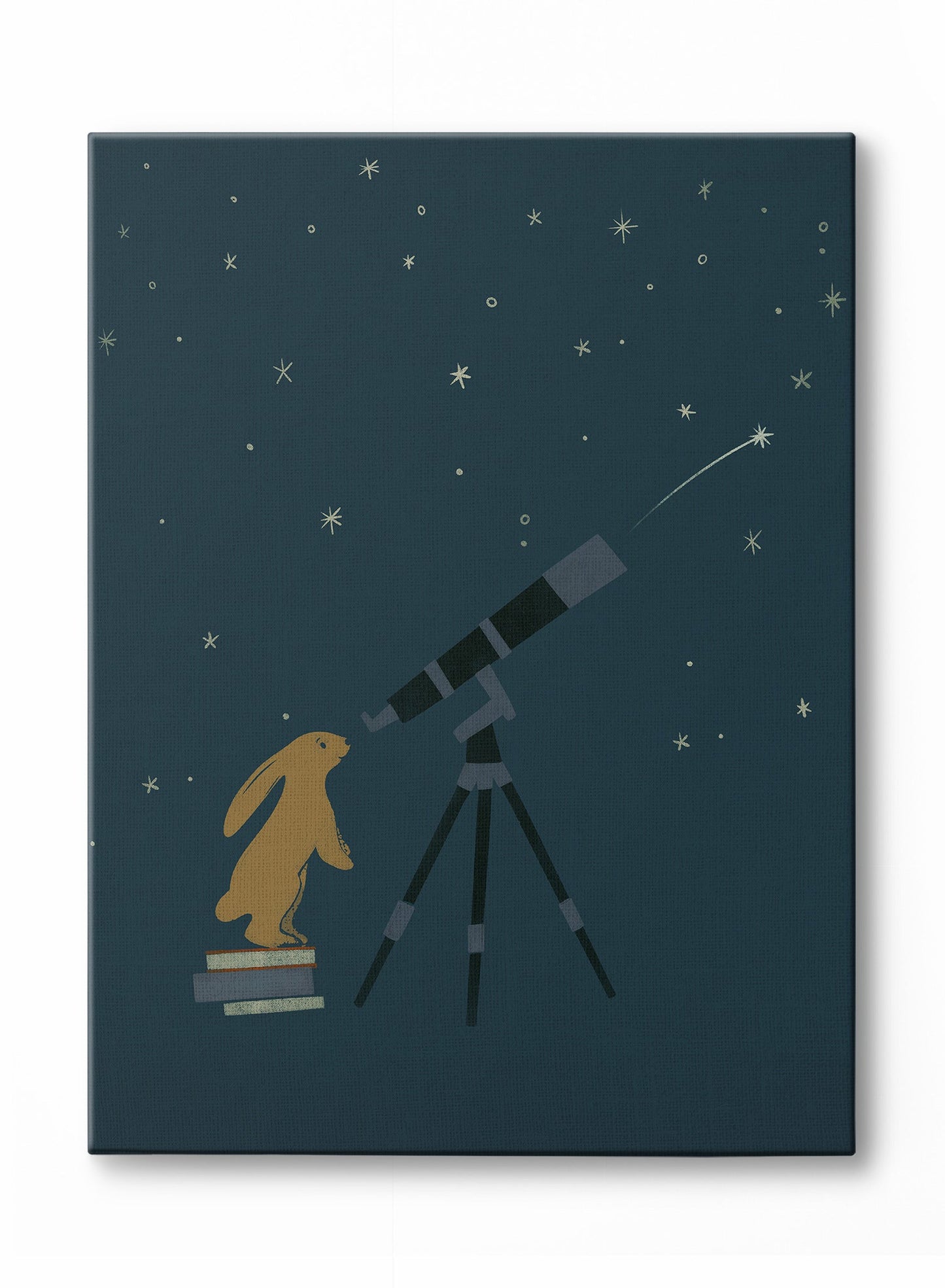 Rynx | Smallest Stargazer, Canvas