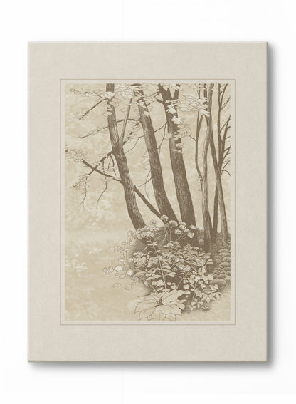 Rynx | Sepia canopy, canvas