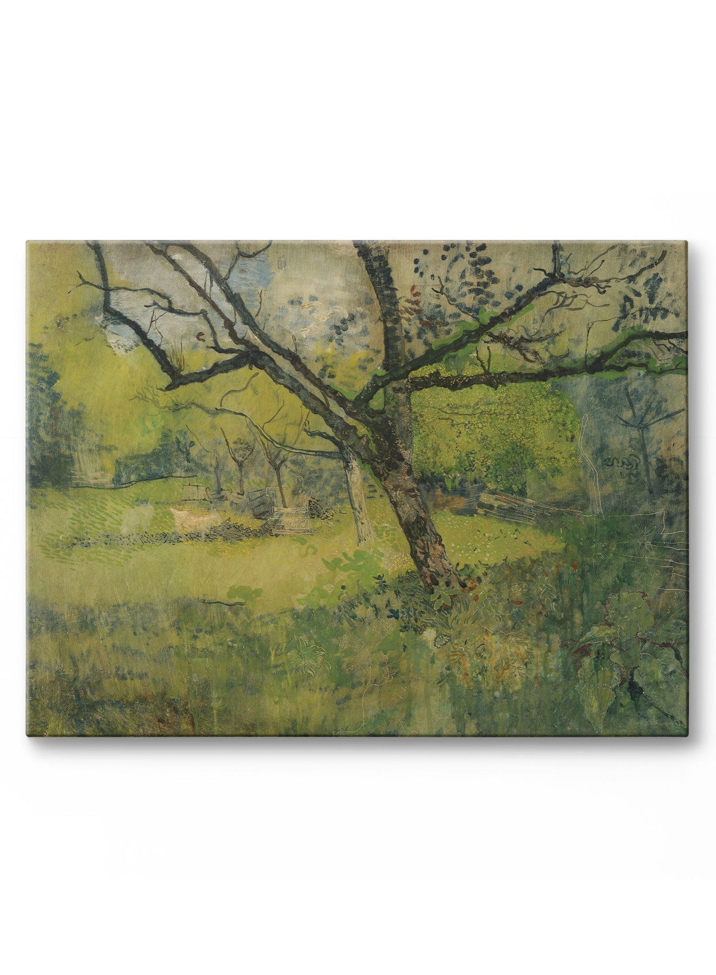 Rynx | Sunny Day Clearing, Poster