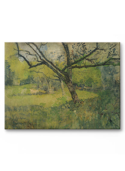 Rynx | Sunny Day Clearing, Poster