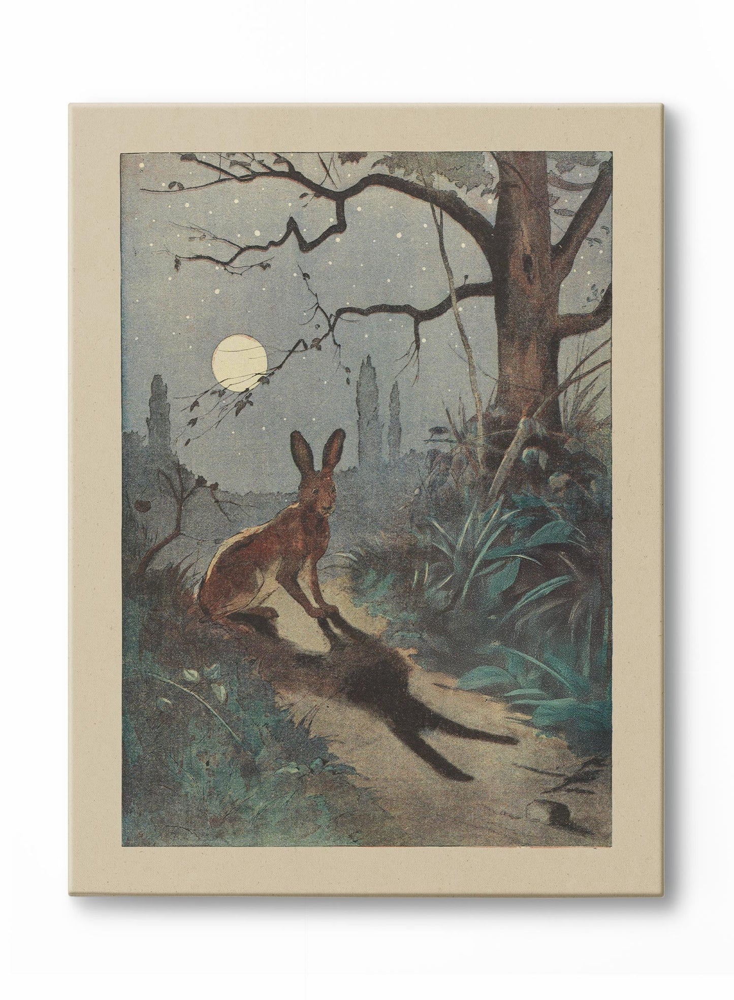 Rynx | Moonlight Dreams, Canvas