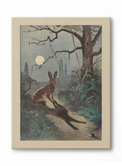 Rynx | Moonlight Dreams, Canvas