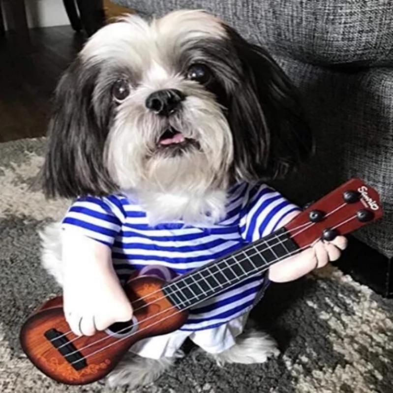 RYNX | Pet Costumes Guitarist