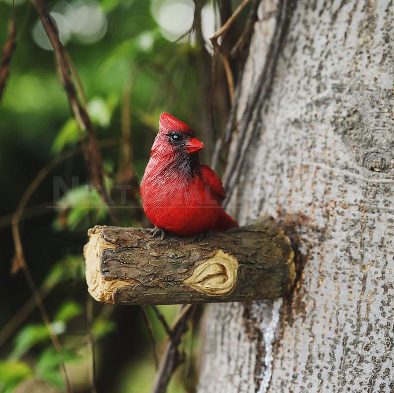 Rynx | Red cardinal garden clips