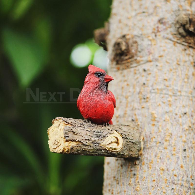 Rynx | Red cardinal garden clips