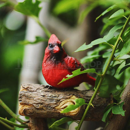 Rynx | Red cardinal garden clips