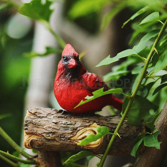 Rynx | Red cardinal garden clips