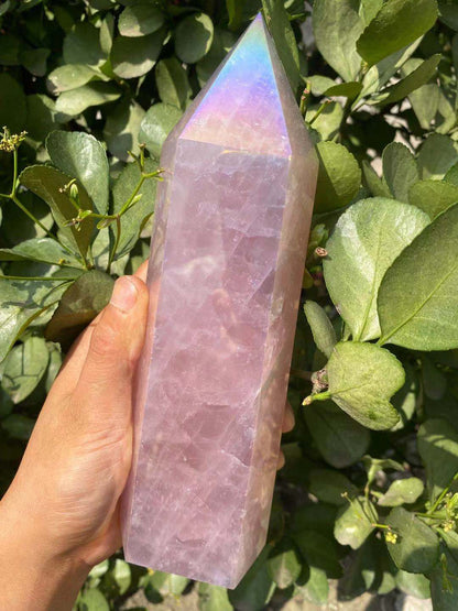 Rynx | Rose Aura Crystal Point Wand