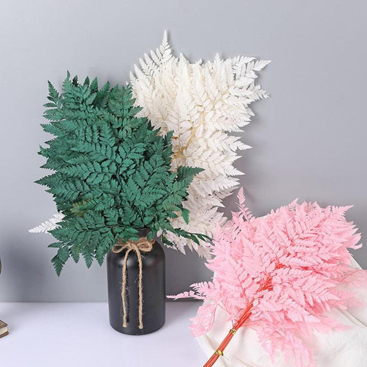 Rynx | Alpine Serenity Fern Decor Kit: Bring the Essence of Nature Indoors