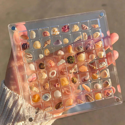 Rynx | Acrylmuschel Display-Box mit Magneten Langlebige Seestern Schmuckaufbewahrungsbox für Perlen-Nagelschmuck