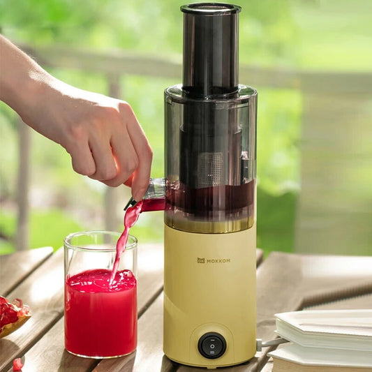 Rynx | Pure Aroma Mini Multifunctional Juicer