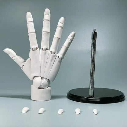 Rynx | Multi-Pose Drawing Sculpting Art Hand Model