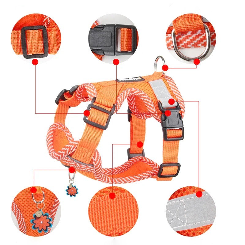 Rynx | Reflective Harness Set and Leash for Small Dogs - AirFlex