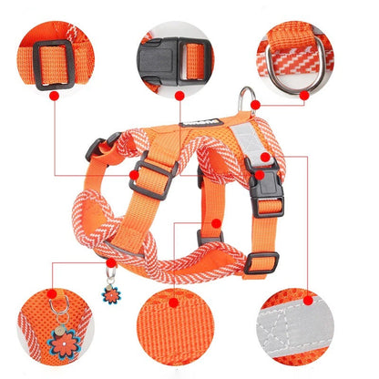 Rynx | Reflective Harness Set and Leash for Small Dogs - AirFlex