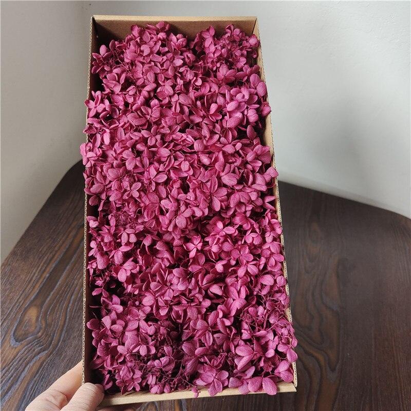 Rynx | Eternal Charm Hydrangea Tower Arrangement - A floral elegance for all occasions