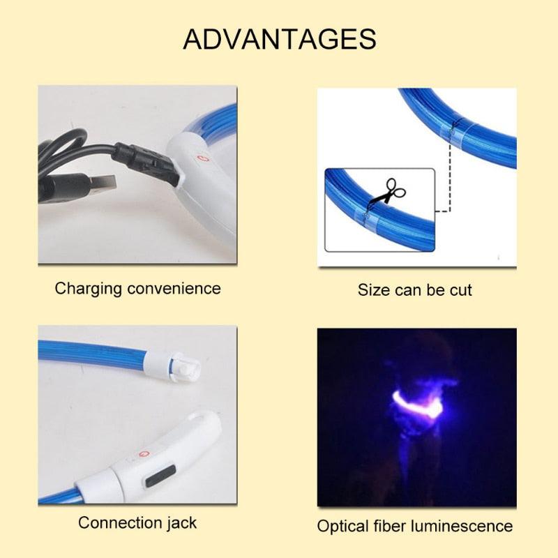 Rynx | Illuminated rechargeable USB dog grooming for optimal night safety and visibility