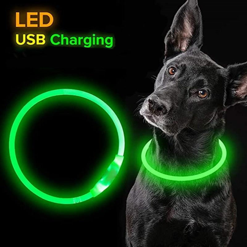 Rynx | Illuminated rechargeable USB dog grooming for optimal night safety and visibility