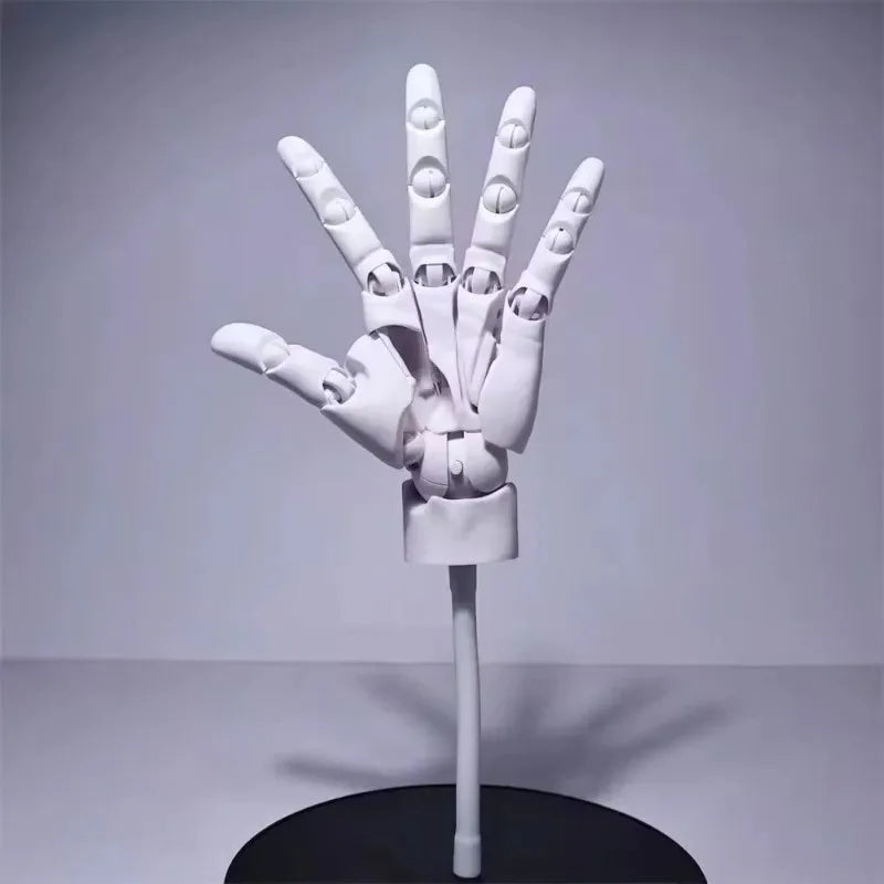 Rynx | Multi-Pose Drawing Sculpting Art Hand Model