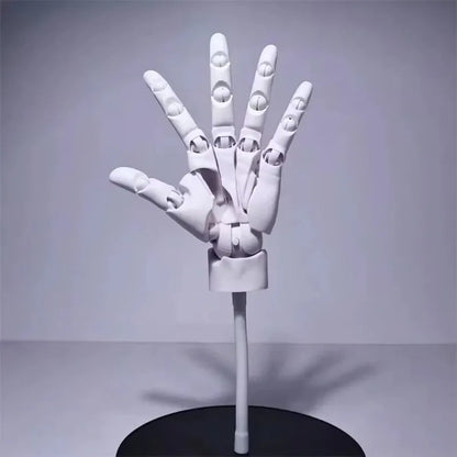 Rynx | Multi-Pose Drawing Sculpting Art Hand Model