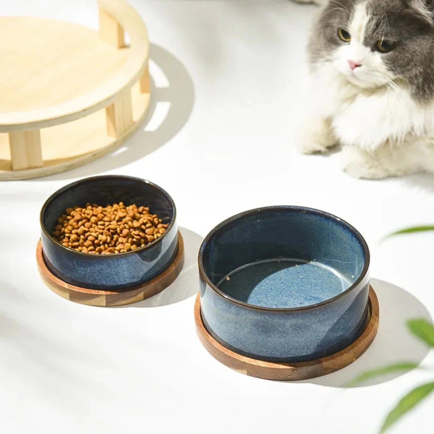Rynx | Pet Food Bowl