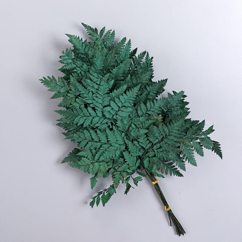 Rynx | Alpine Serenity Fern Decor Kit: Bring the Essence of Nature Indoors