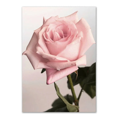 Rynx | Rose Canvas Poster