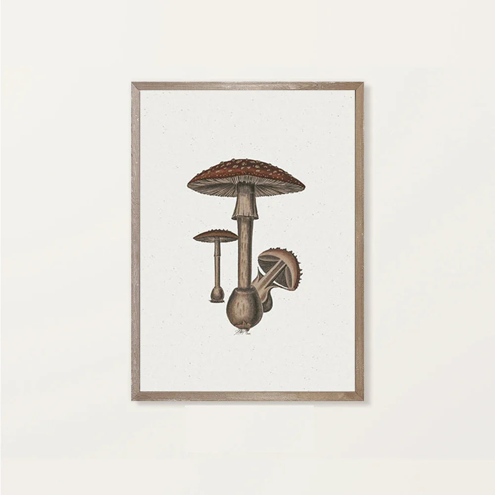 Rynx | Landscape Canvas Poster