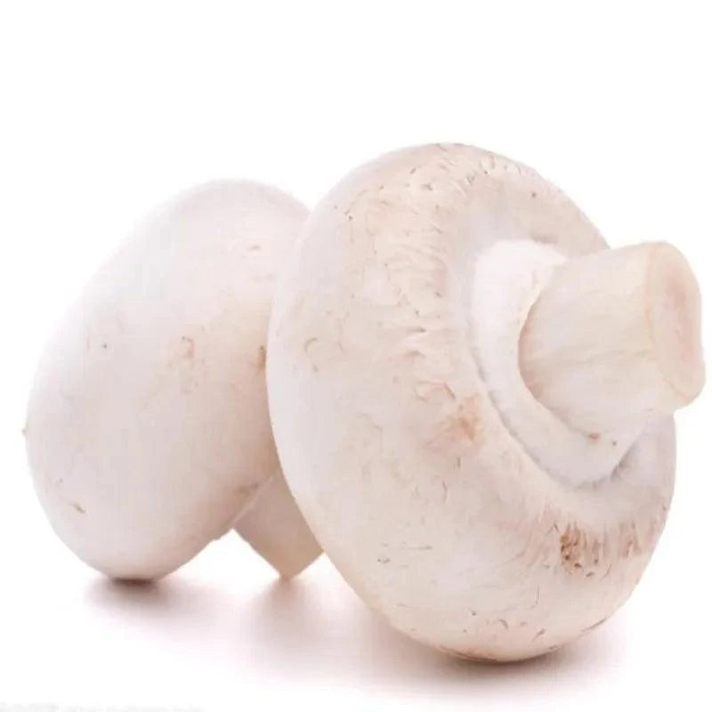 Rynx | Charming Faux Mushroom Decor Collection - 6 Life-like Models for Home and Photography Enhancement