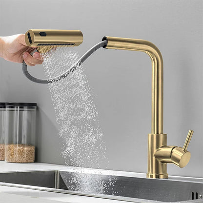 Rynx | YCRAYS Black Kitchen Faucets - Gray Pull Out Rotation Waterfall Stream Sprayer Head Sink Mixer, Brushed Nickel Water Tap Accessory