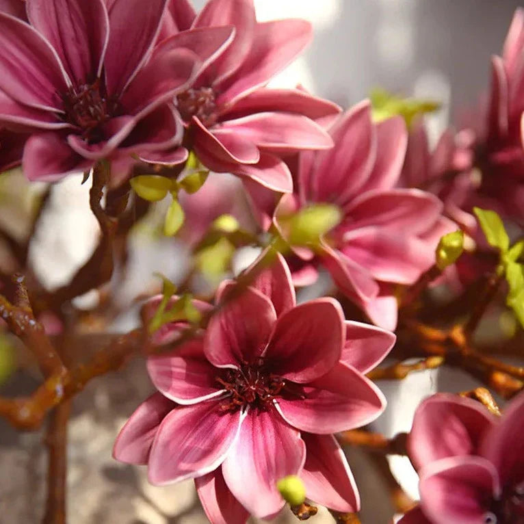 Rynx | Artificial Magnolia Flowers