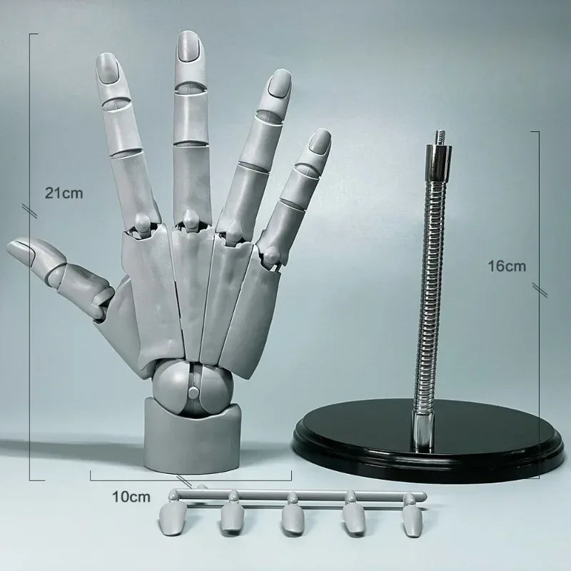 Rynx | Multi-Pose Drawing Sculpting Art Hand Model