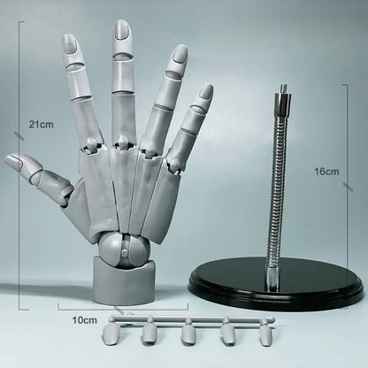 Rynx | Multi-Pose Drawing Sculpting Art Hand Model