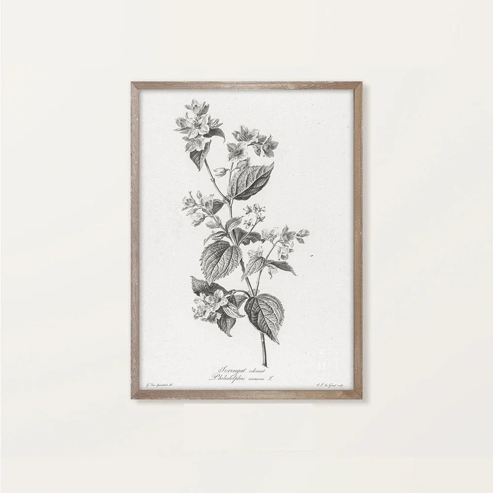 Rynx | Landscape Canvas Poster