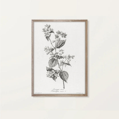 Rynx | Landscape Canvas Poster