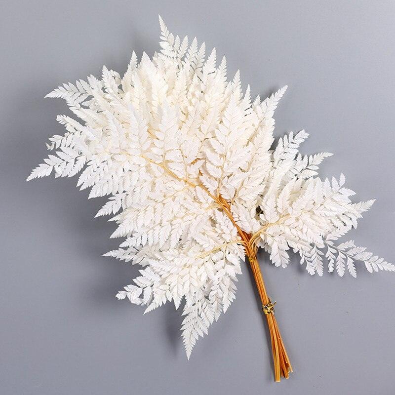 Rynx | Alpine Serenity Fern Decor Kit: Bring the Essence of Nature Indoors